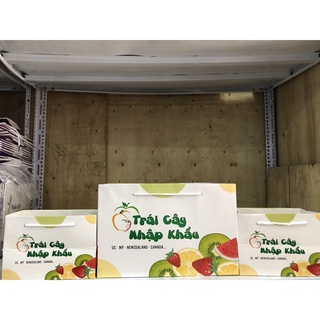 Combo 20 túi Đựng Hoa Quả 3kg