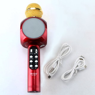 MIC KARAOKE WS-1816