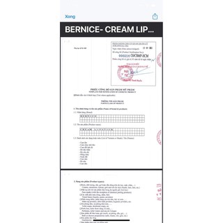 💥 DÀNH CHO SỈ 💥 SON BERNICE 2021