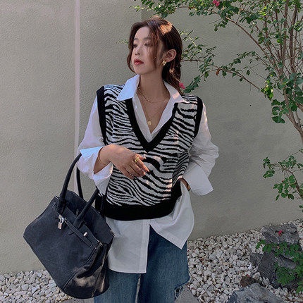 Áo Sweater Dệt Kim Sát Nách In Họa Tiết Ngựa Vằn Thời Trang Mùa Thu