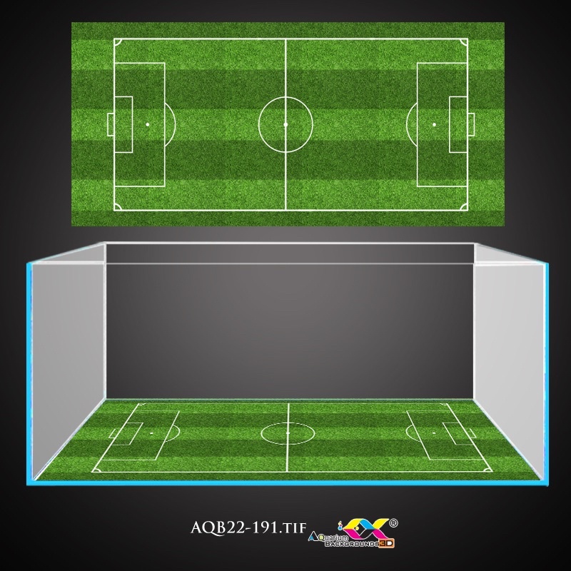 Tranh sân bóng dán đáy bể cá siêu đẹp và nét, có keo sẵn trên bề mặt, in theo kích thước yêu cầu AQB22-147)