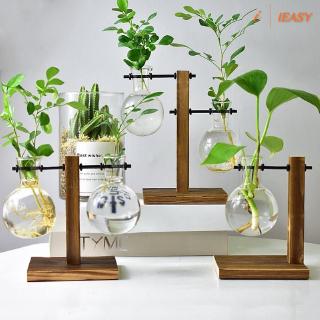 Chậu hoa thủy tinh hình bóng đèn để bàn kèm khay gỗ đỡ đẹp mắt
