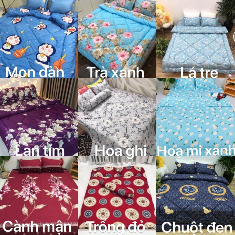 Bộ 1 Ga chun và 2 vỏ gối Cotton poly, chat chọn mẫu. | BigBuy360 - bigbuy360.vn