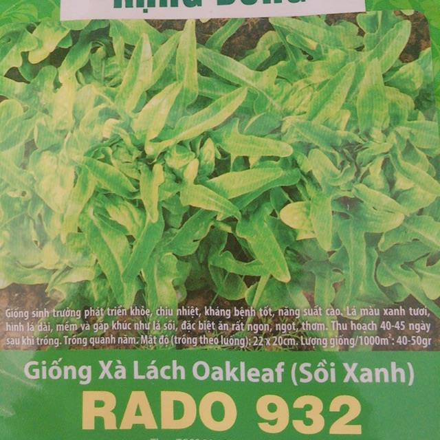 Xà Lách Oakleaf (Sồi xanh)