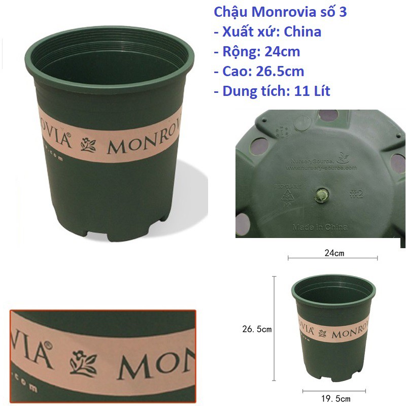 Chậu nhựa trồng cây cao cấp MONROVIA cỡ số 3 dung tích 3 Gallon ( 11,4L)
