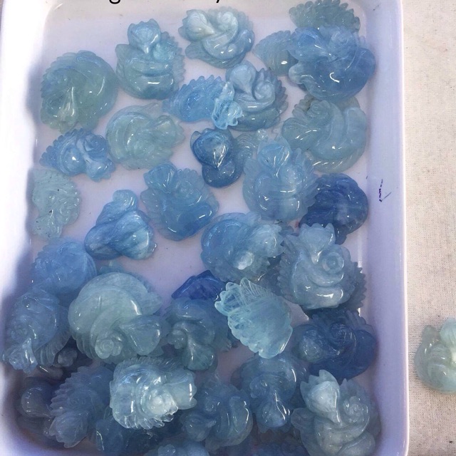 Hồ Ly Aquamarine ôm hoa