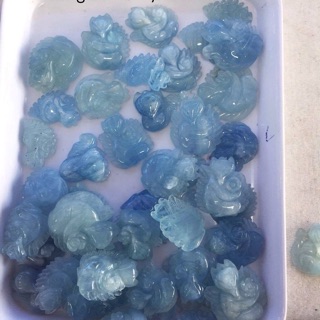 Hồ Ly Aquamarine ôm hoa