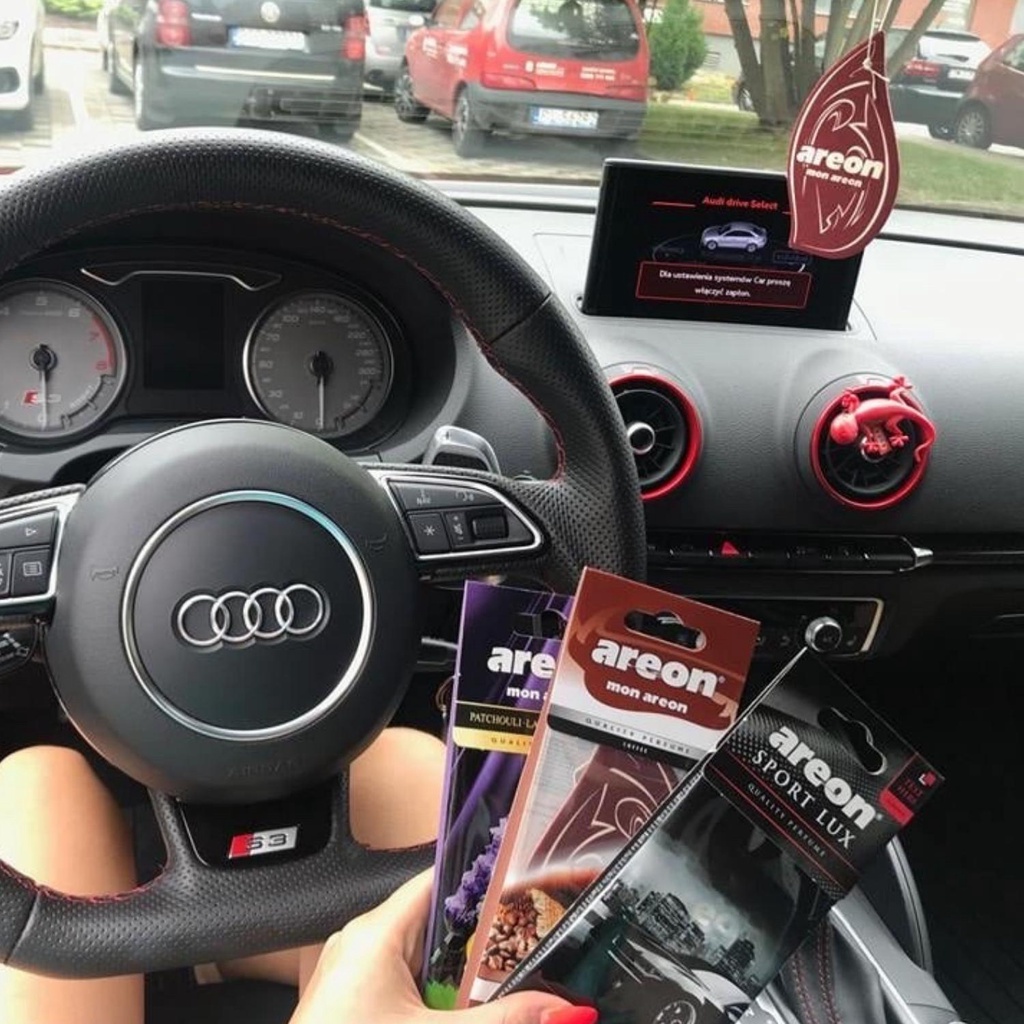 Lá thơm AREON treo xe Ô tô Cốp xe máy Phòng ngủ Tủ quần áo giúp khử mùi hiệu quả với hương thơm tươi mát dịu nhẹ GU