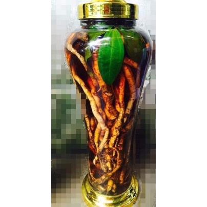 1kg Sâm xuyên đá Hà Giang