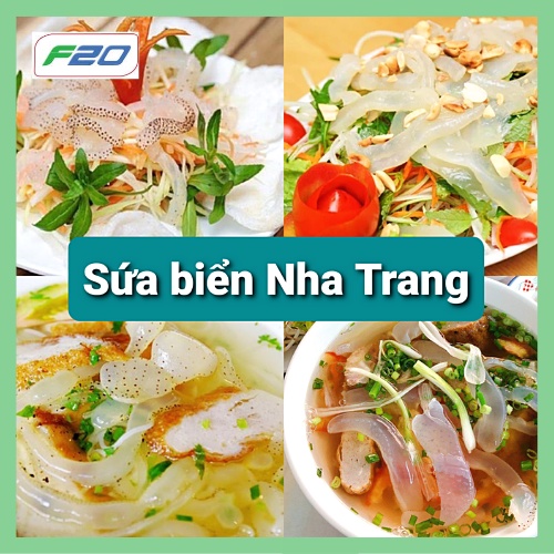 2kg Sứa biển Nha Trang  Dùng làm gỏi sứa, nộm sứa