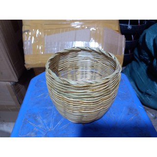 Tổ tre cho manh manh, bảy màu, yến hót, sắc nhật