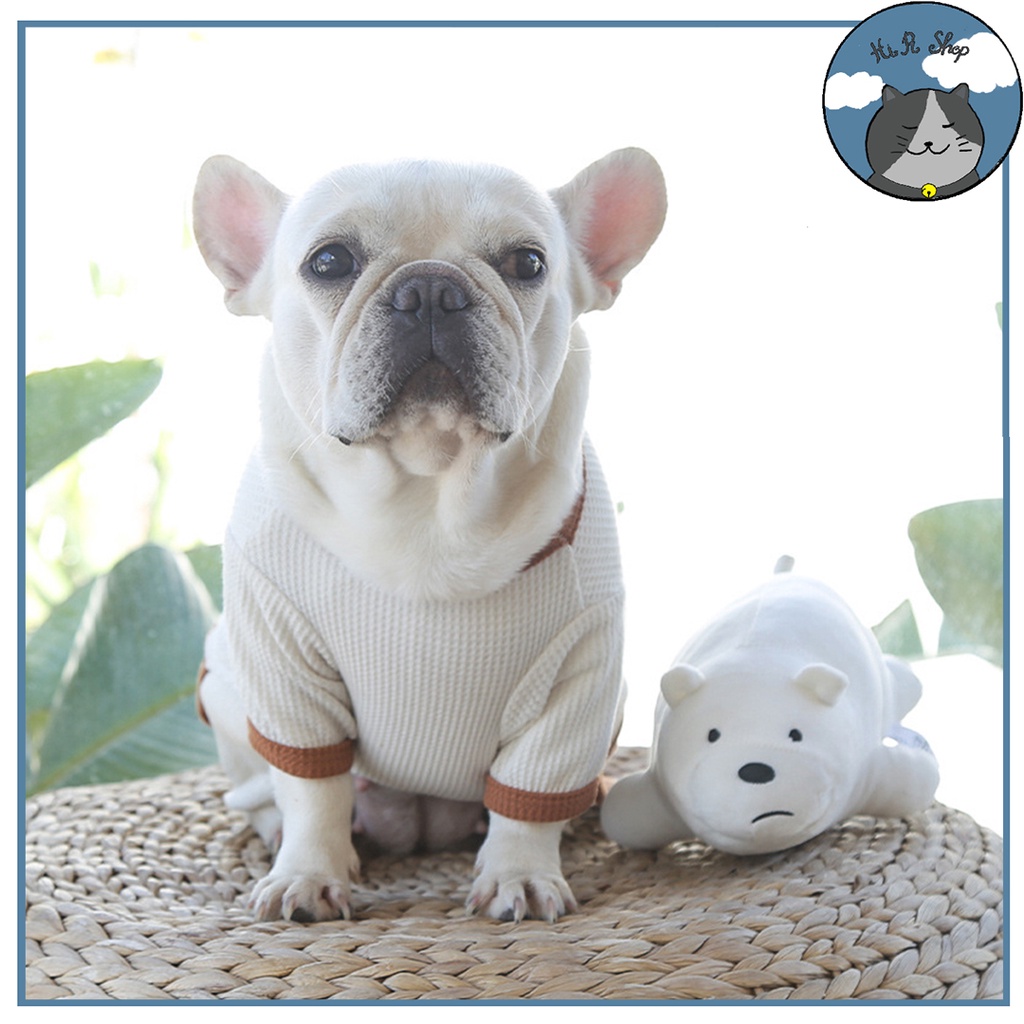 Áo Váy Cặp Đôi Chó Mèo Thú Cưng Phong Cách Hàn Quốc In Hình Gấu Dễ Thương Xuân Hè Dành Cho Thú Cưng