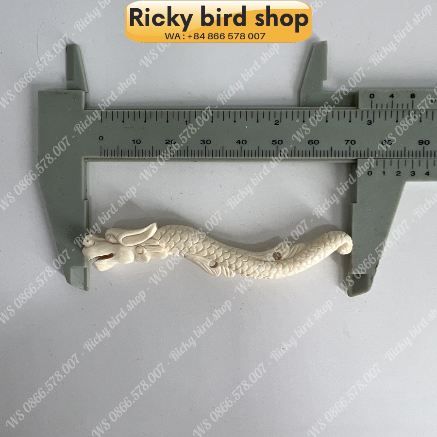 Da-chong legs - Dragon design (R) - Phụ kiện chim Ricky bird shop