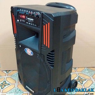 Loa kéo ronamax F12 vỏ gỗ bass 3 tấc kèm 2 mic UHF cực hay fullbox