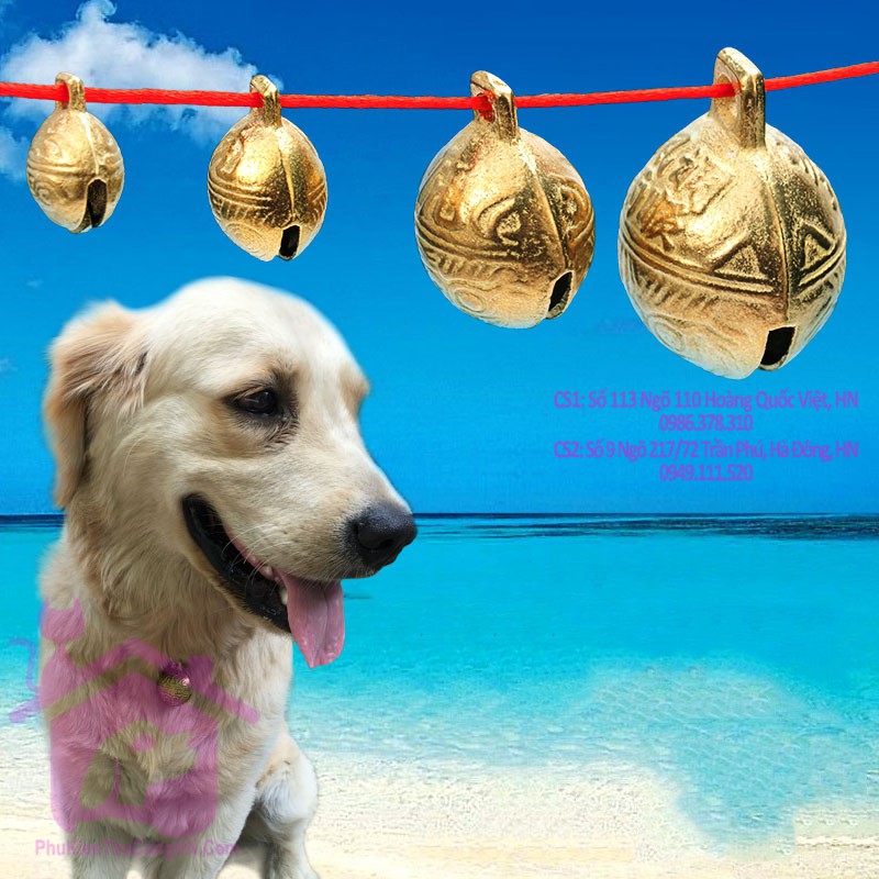 Chuông đồng cho chó mèo lục lạc đồng - Phụ kiện thú cưng Hà Nội