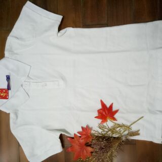 Áo thun nữ cotton 100%