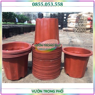 Combo 10 chậu nhựa trồng cây E330 (Kt: 28x18x25)