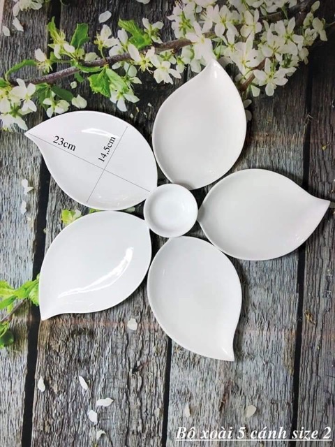 Bộ đĩa hoa 5 cánh trắng Bát Tràng - Bộ dĩa trang trí đẹp