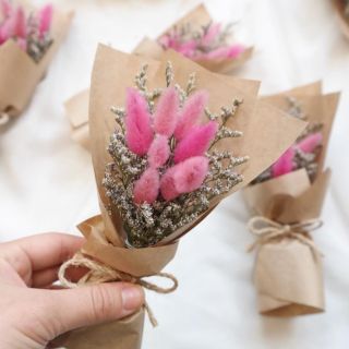 ♥ Bó hoa cỏ đuôi thỏ bunny stail mini- siêu ciu