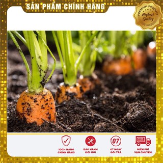 Hạt Giống Cà Rốt Mini(100 hạt)