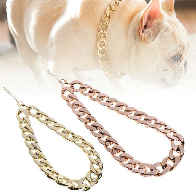 Vòng xích vàng cho chó mèo siêu ngầu