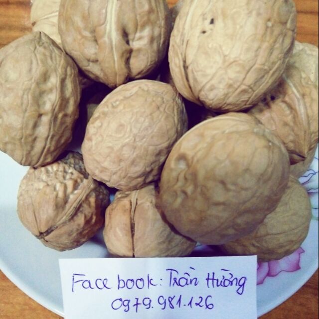 Quả óc chó
