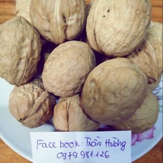 Quả óc chó