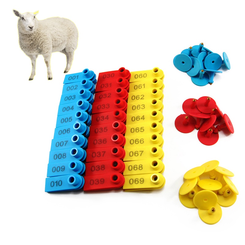 Thẻ tai bò in sẵn số Thẻ tai dê không mất màu Thẻ đeo tai heo allflex Thẻ tai heo dễ phân biệt