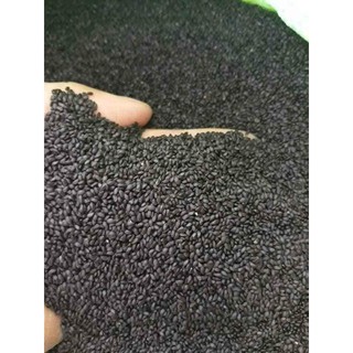 Hạt é giảm cân, ăn với thạch dừa ngọt mát {1kg}