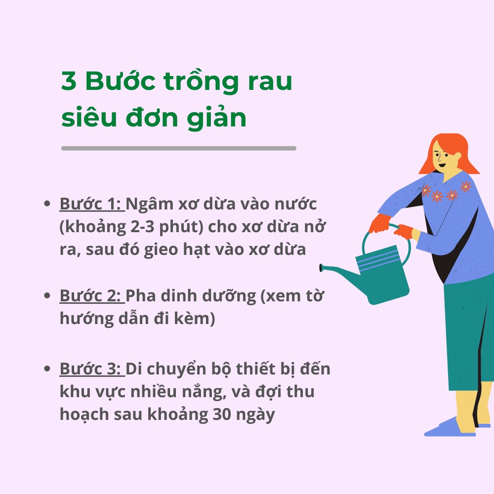 THIẾT BỊ TRỒNG RAU THỦY CANH BKFAST (Bộ 4 Thùng Đầy Đủ) - ĐH Bách Khoa Hà Nội (Gốc Sản Xuất)