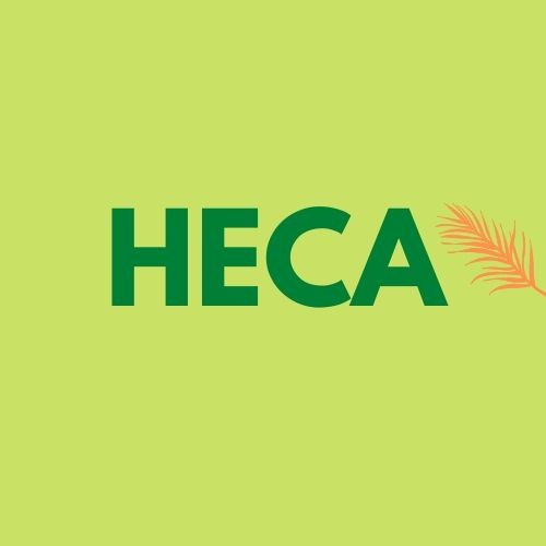 HecaKhoeDep