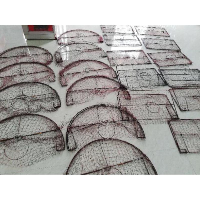 Mẹt chim săn mồi.