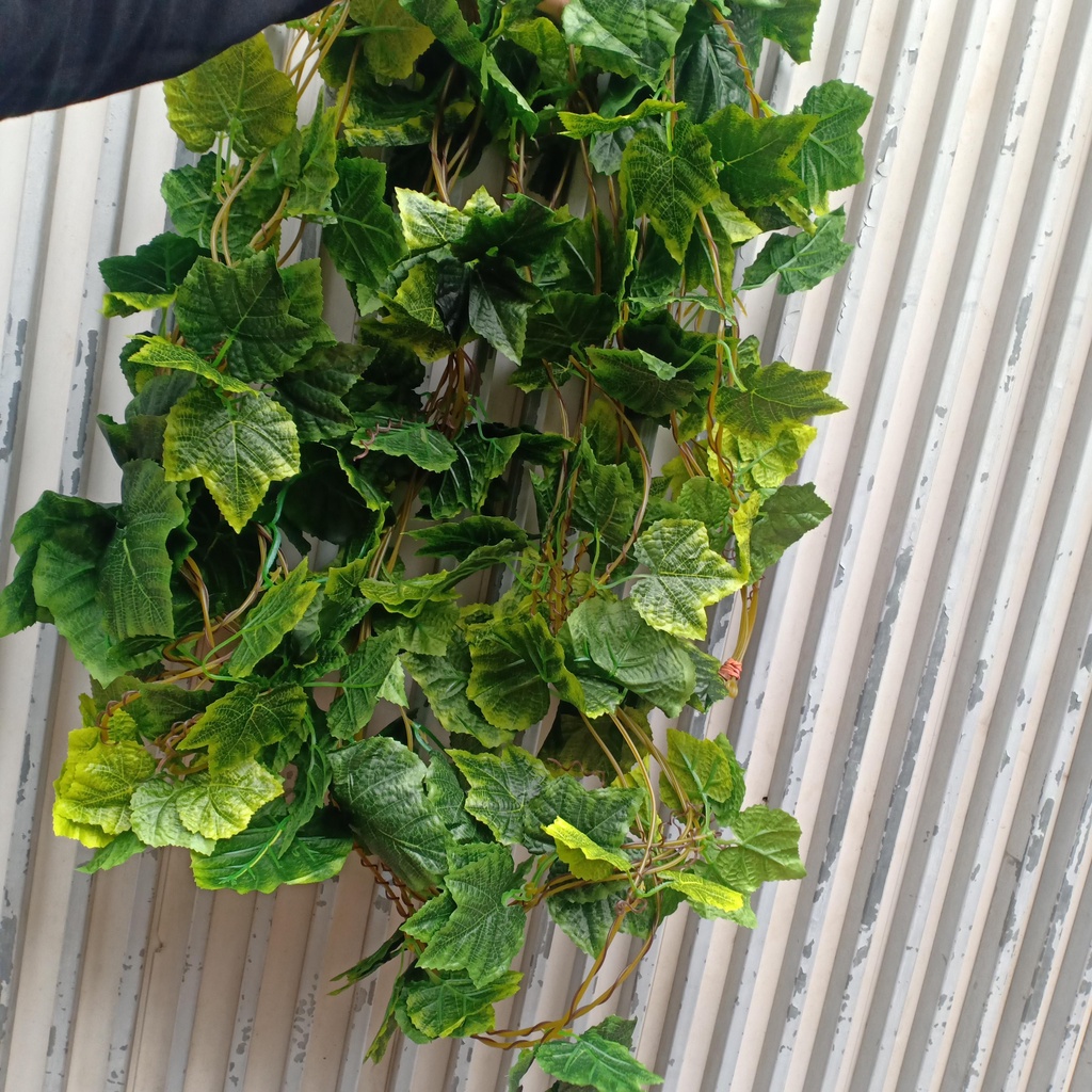 Dây leo lá nho xịn  bó 5 dây dài 2m7-Lá giả