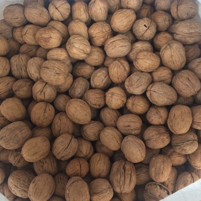 500G QUẢ ÓC CHÓ MỸ