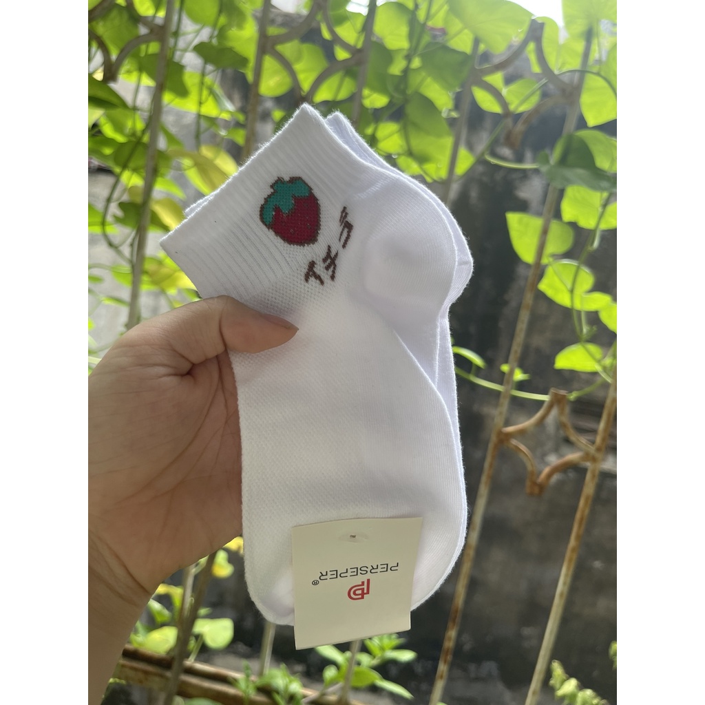 N91 Tất cổ ngắn hoạ tiết trái cây