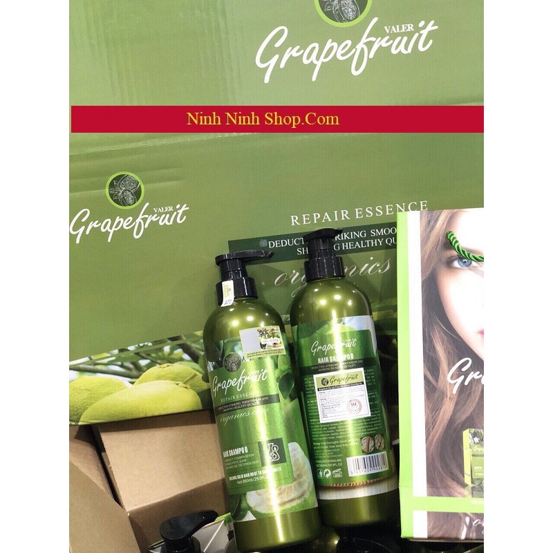Bộ dầu gội xả Bưởi Đo Grape Fruit Repair Hair 850ml H305 | BigBuy360 - bigbuy360.vn