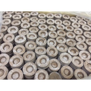 Viên nén xơ dừa ươm hạt giống