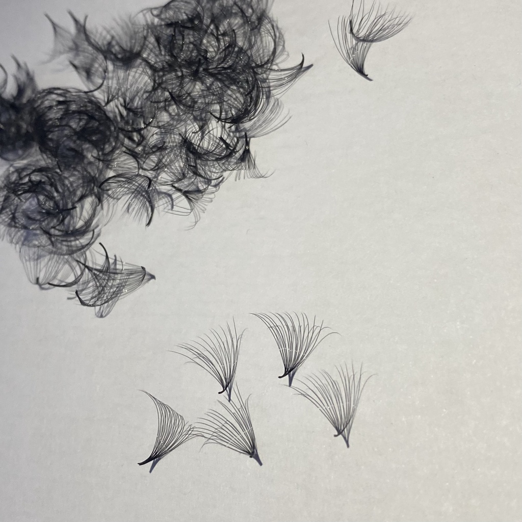 Mi FAN 12D MIX SIZE (9-15) mm CONG C -CC- D 005 HỘP (1000fan)_dụng cụ nối mi_THÚY HÀ