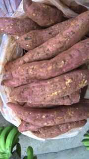 Khoai lang mật Tà Nung (Lâm Đồng)
