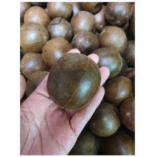 Qủa La Hán, hàng to đẹp