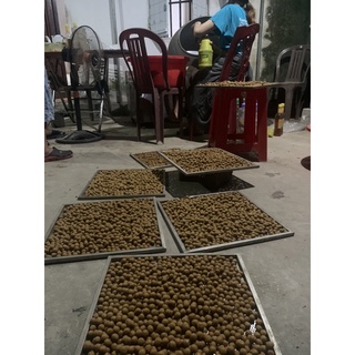 mồi cóc rắn tổng hợp