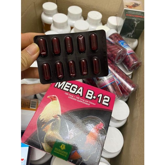 1 VỈ MEGA B12 DINH DƯỠNG CHO GÀ ĐÁ MAU LÊN NƯỚC MÁU