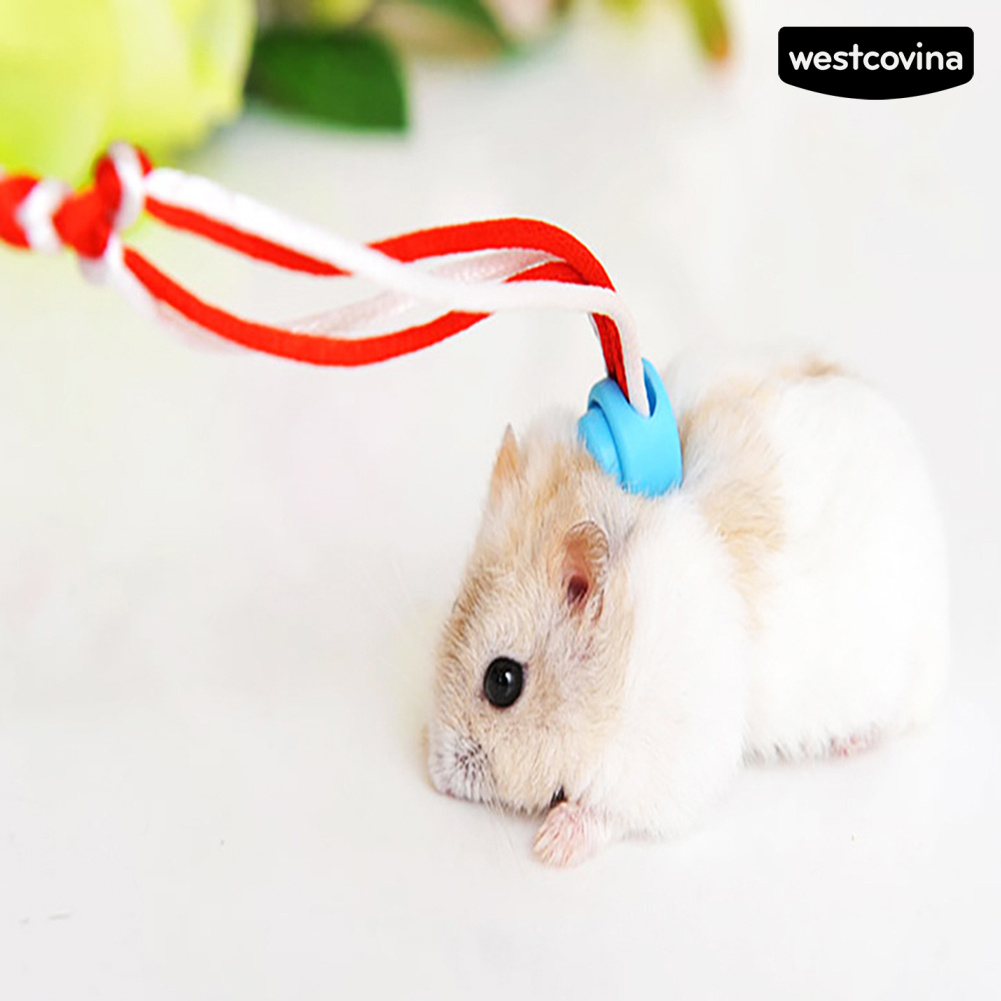 Dây Dắt Thú Cưng Đi Dạo Cỡ Nhỏ 1.4 / 2m