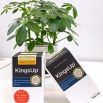KINGSUP – HỖ TRỢ BỔ THẬN, TRÁNG DƯƠNG, NGĂN NGỪA XUẤT TINH SỚM (LỌ 30 VIÊN)