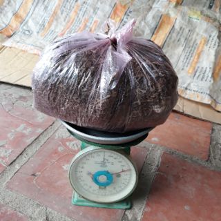 Rơm mục trồng cây_10k/1 kg