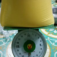 Kích trắng Linh Chi 50gr