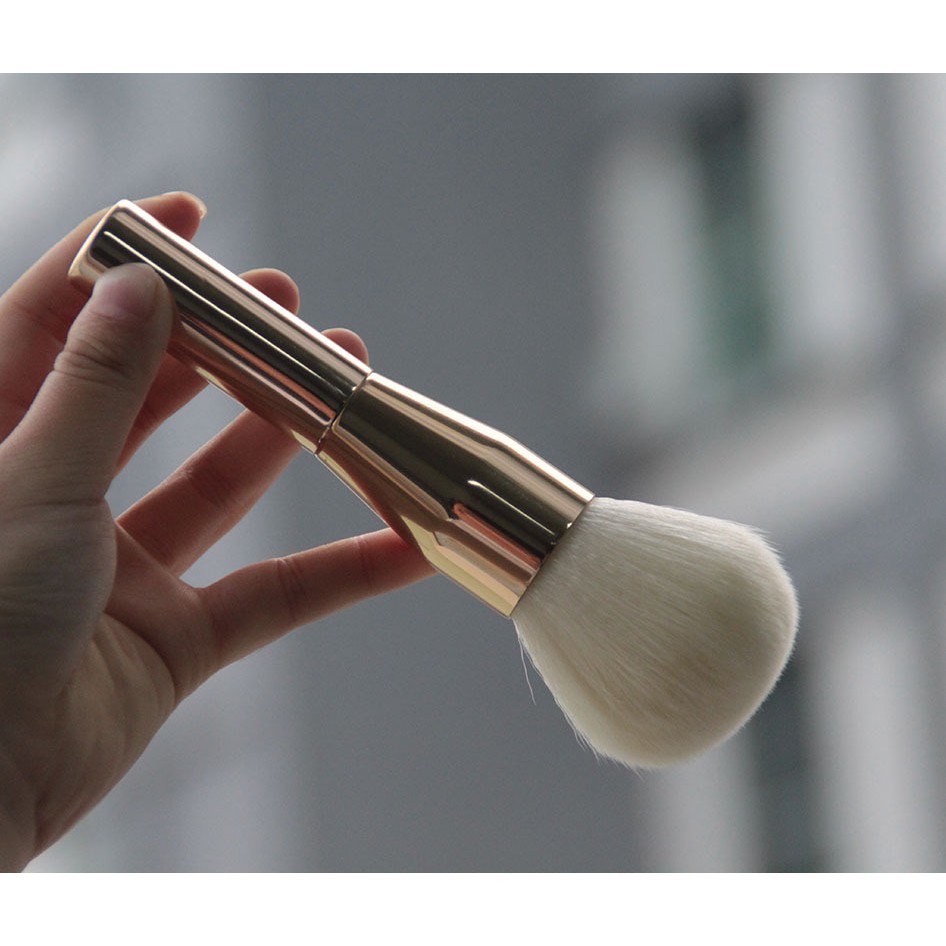 CỌ MÁ HỒNG MS2