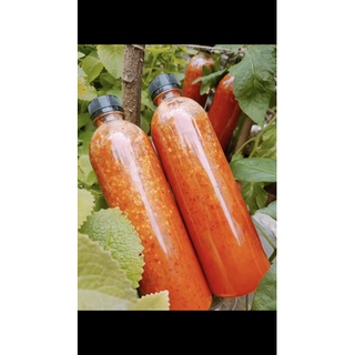 Chai nhựa tròn 500ml
