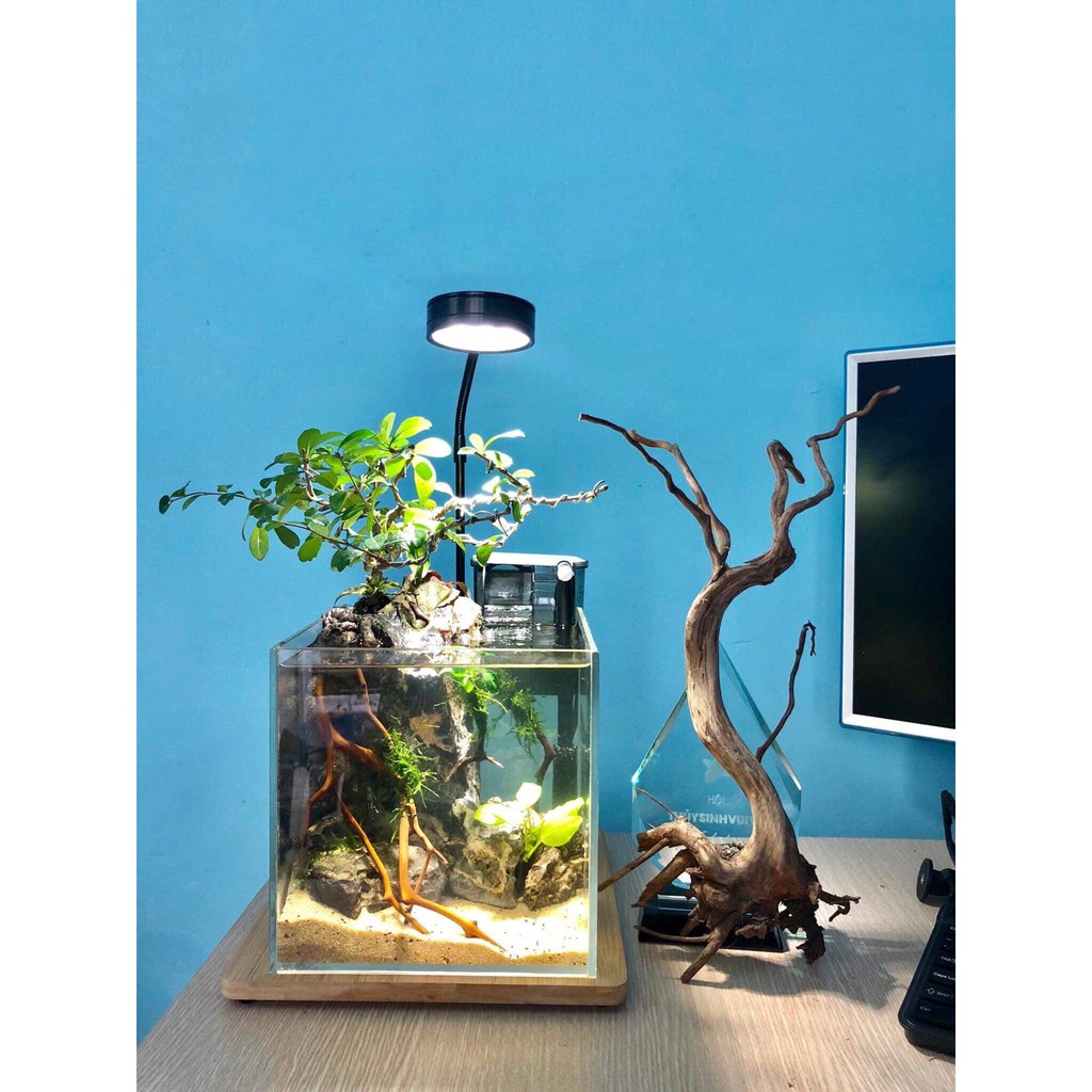 Đèn thuỷ sinh, đèn tiểu cảnh đèn trang trí đế gỗ, 3 chế độ màu