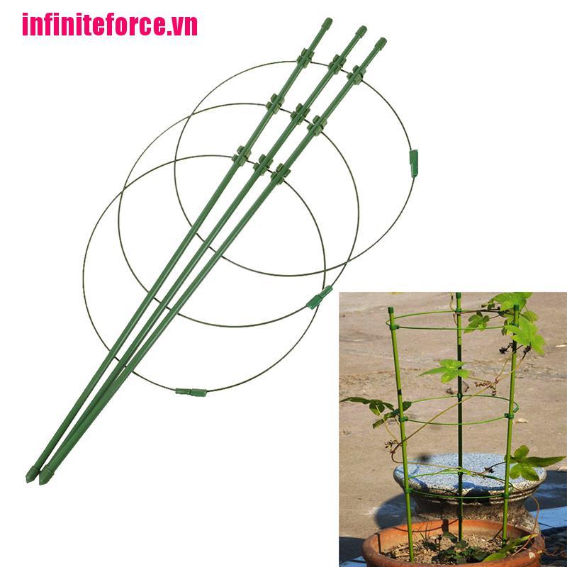 Bộ Dây Thừng Hỗ Trợ Trồng Cây Leo Kích Thước 1 45cm